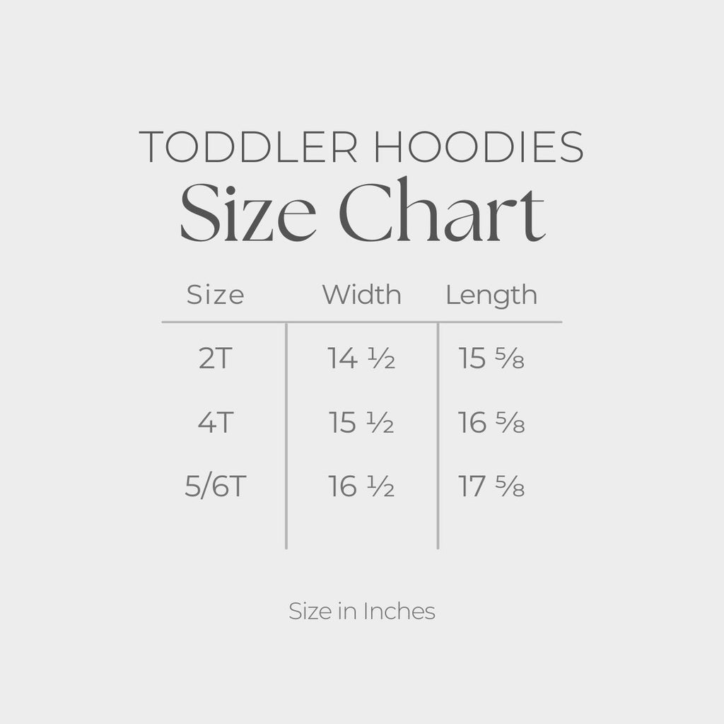 Time For The Disco - Toddler Hoodie product image 10