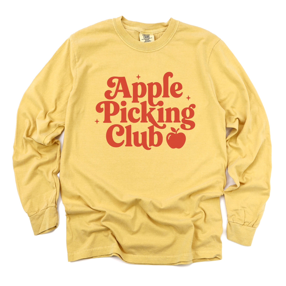 Apple Picking Club Stars - Women's Garment Dyed Long Sleeve product image 8